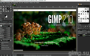 GIMP на Windows 10 бесплатно